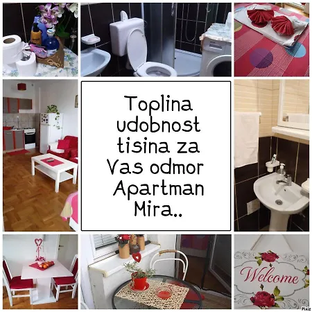 Mira Pozarevac