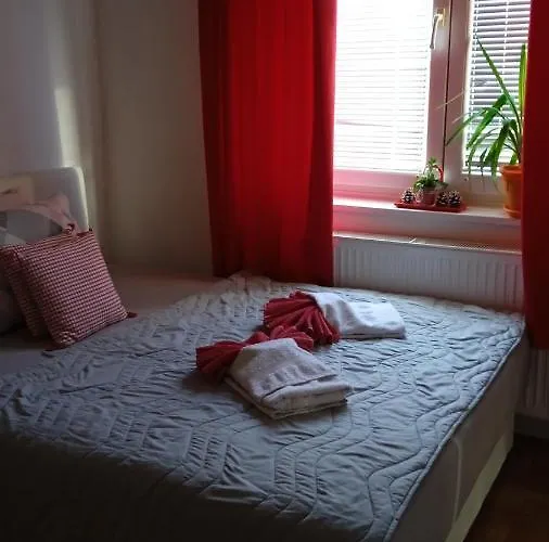 Mira Daire Požarevac