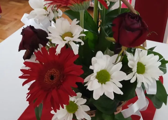 Daire Mira Požarevac