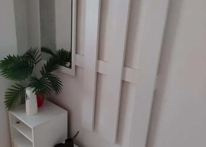 Mira Daire Požarevac